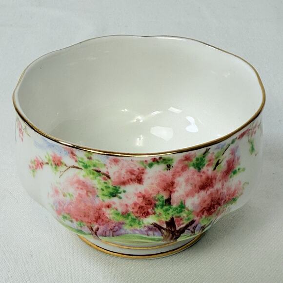 Royal Albert Bone China “Blossom Time” Set - Picture 6 of 12